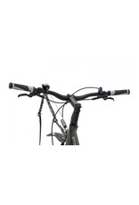 Kostka Kostka - Mushing Racer Pro G6