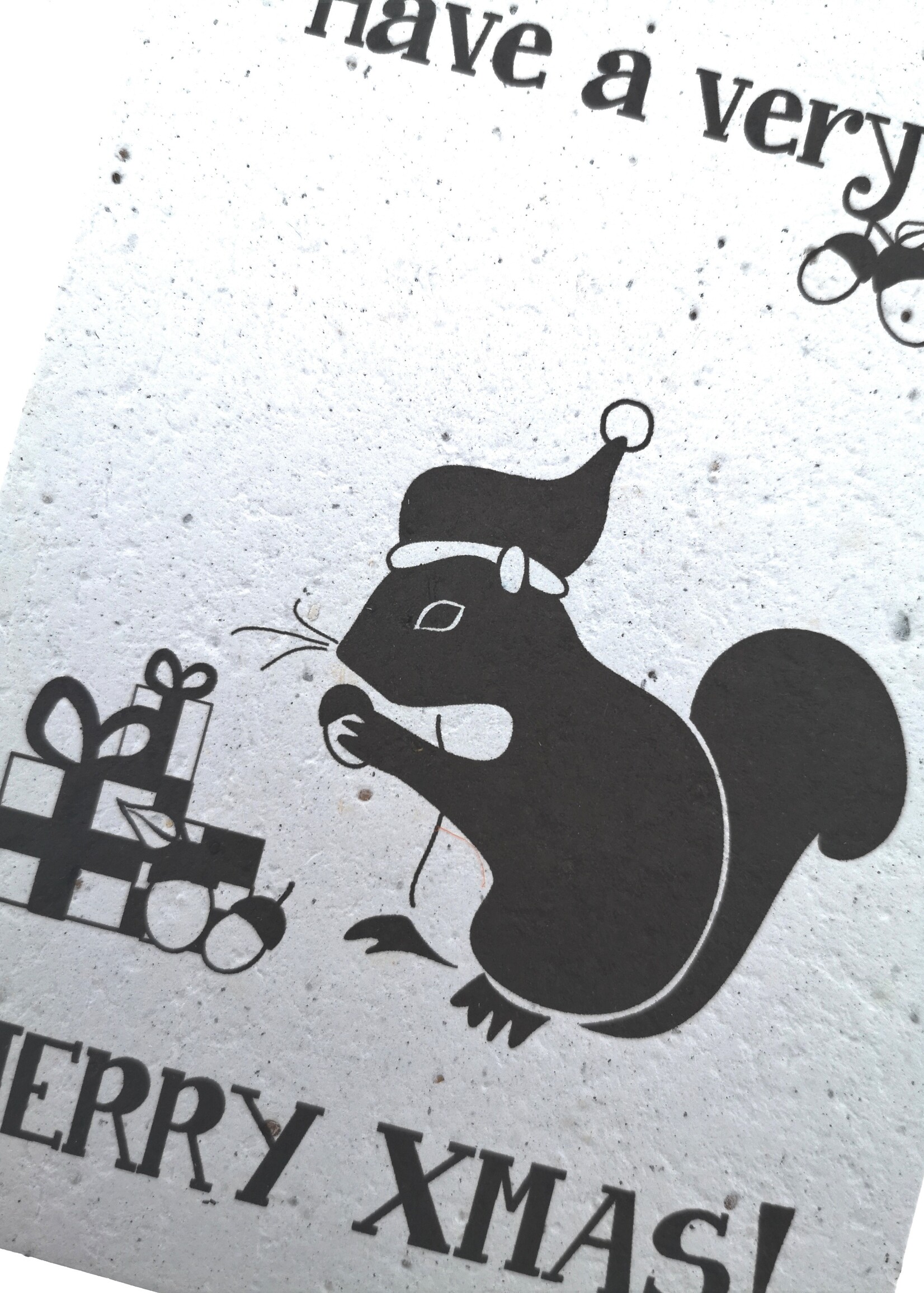 BloomYourMessage Plantbare kaart - Merry Xmas Eekhoorn