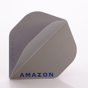 Amazon 100 Silver