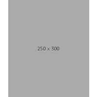 Bull's Bull's Powerflite Black