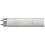 Crompton Fluorescent T8 Triphosphor 58W 240V 4000K G13