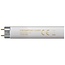 Crompton Fluorescent T8 Triphosphor 70W 240V 4000K G13