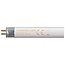 Crompton Fluorescent T5 Halophosphate 6W 240V 4000K G5