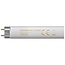 Crompton Fluorescent T8 Triphosphor 18W 240V 4000K G13