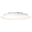 Brilliant Viktor LED ceiling Light 45cm white/silver CCT, RGB, Remote Dimmable, RGB Backlight