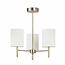 Brio 3lt  s/flush - A.brass - Factory Second