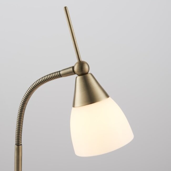 Range Touch Task- Ant Brass