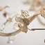 Lullaby 5lt pendant  - cream brushed gold - Factory Second