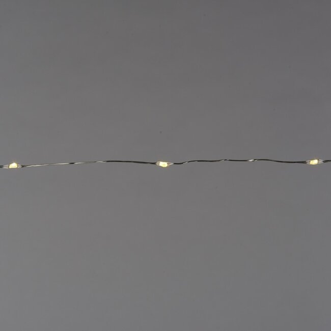 SILVER WIRE LINE LIGHTS 50PK WW