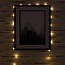 SILVER WIRE LINE LIGHTS 50PK WW
