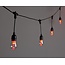 Smart Festoon 12lt Novelty
