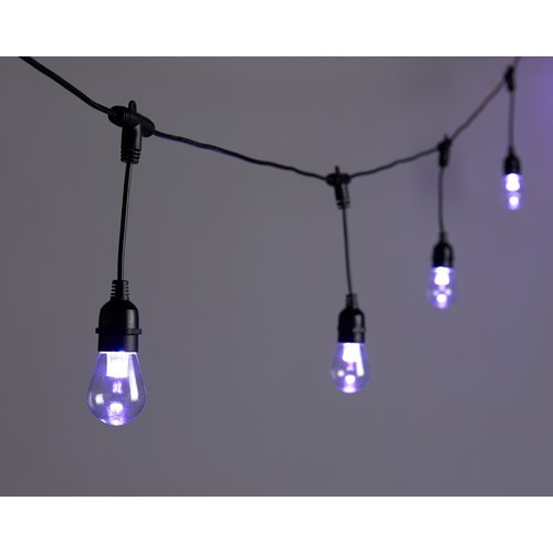 Smart Festoon 12lt Novelty Smart Festoon 12lt Novelty