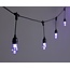 Smart Festoon 12lt Novelty