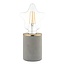 Lara grey concrete table lamp