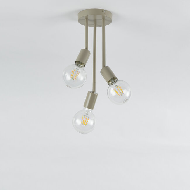 Branch 3lt Round Spot