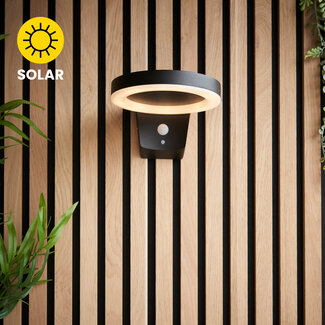 Ring wall photocell & PIR IP44 5.88W SW warm white - textured black