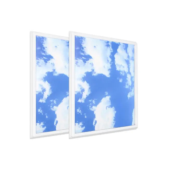 Ener-J SKY Cloud 2D with Borderline LED Backlit Panel, 60x60cms,  40W, 2pcs pack
