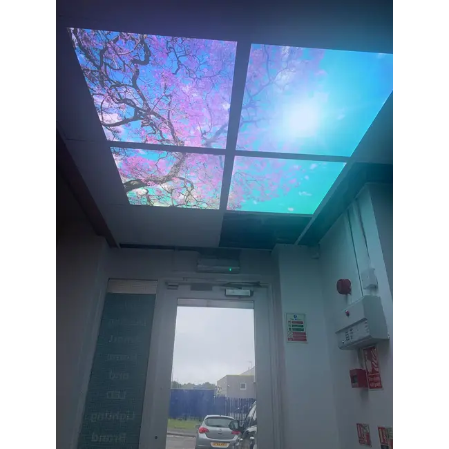 Ener-J 60x60cms SKY Panel with Cherry blossom trees 2D Effect (4 pcs set)