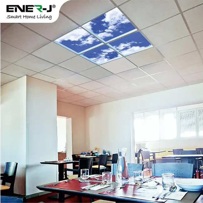 Ener-J Colour Changing and Dimmable SKY Cloud LED Panels 60x60 40W  3D Effect (set of 4 with Remote3