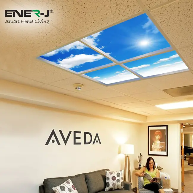 Ener-J SKY Cloud LED Panel 2D version, 60x60cms, 40W, 2 yrs warranty