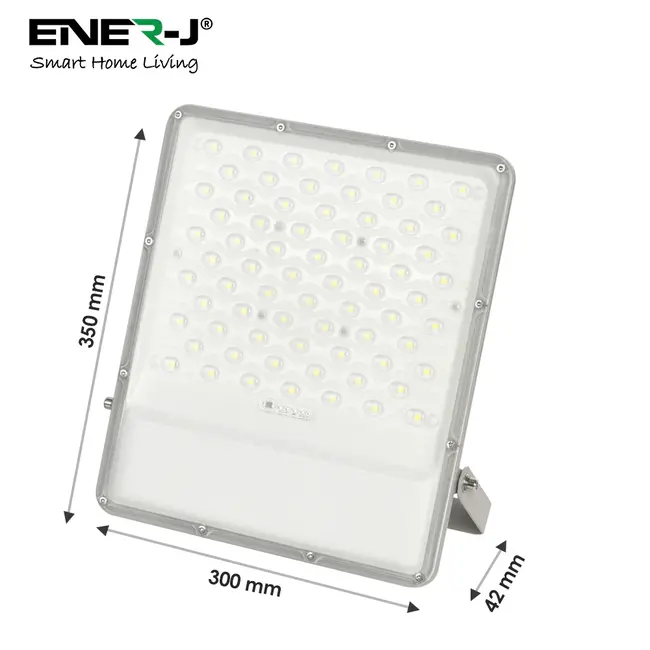Ener-J 200W LED Floodlights with Solar Panels, 30W Solar Panel, 25AH Battery, 2600 lumens