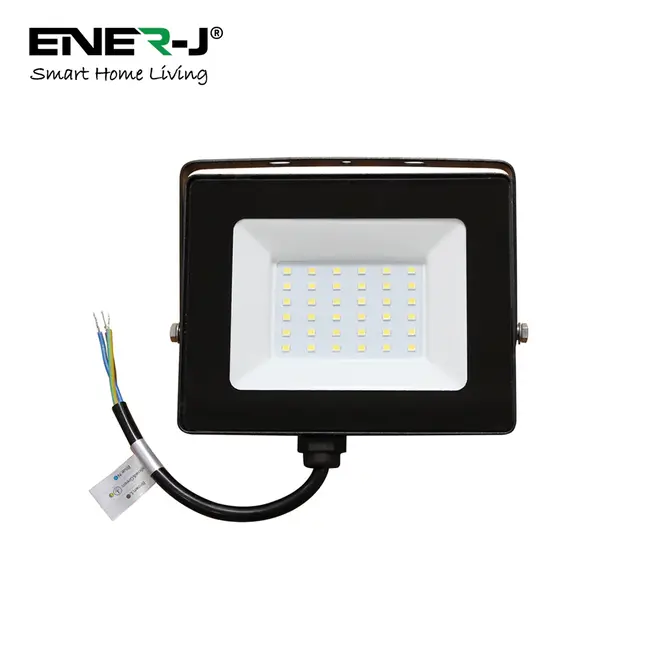 Ener-J 30W LED Floodlight wired with (WS1055) Non Dimmable 5A RF Receiver in 1 box