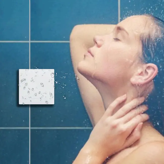 Ener-J 1 Gang Wireless Kinetic Switch + Non-Dimmable Receiver Bundle Kit