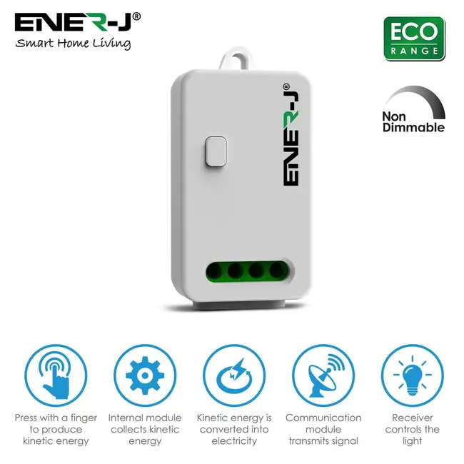 Ener-J Non Dimmable 10A RF Receiver