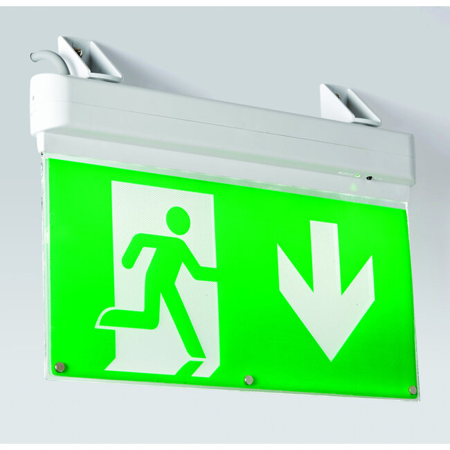 Sight 4-in-1 1lt Pendant