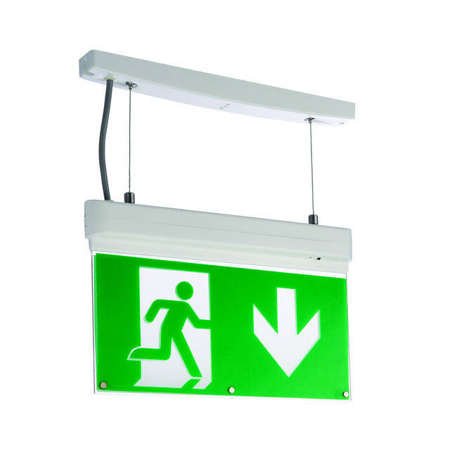 Sight 4-in-1 1lt Pendant