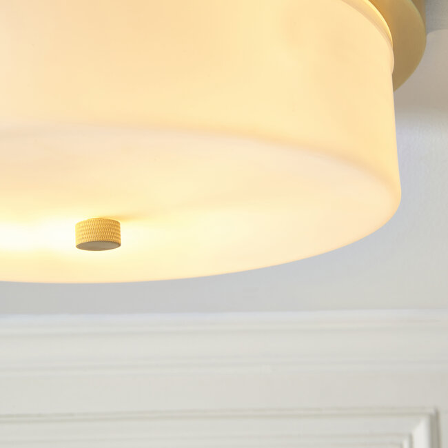 Roan Bathroom Flush Light
