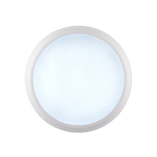 AmazonPro Emergency 1lt Flush