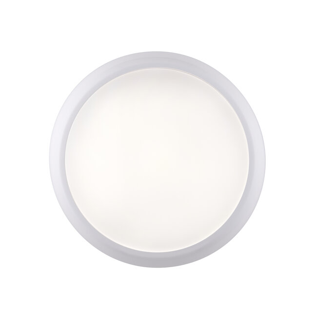 AmazonPro Emergency 1lt Flush