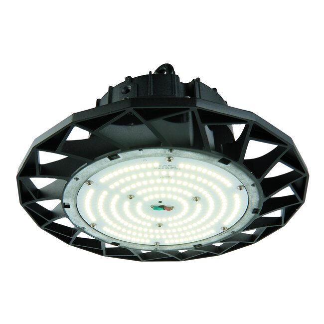 Altum 100W IP65 100W daylight white pendant - matt black