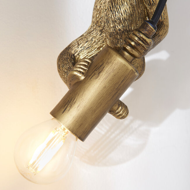 Monkey Bathroom Wall Light