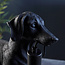 Dachshund Black Table 1lt Light
