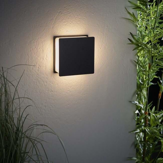 Alba LED Wall IP44