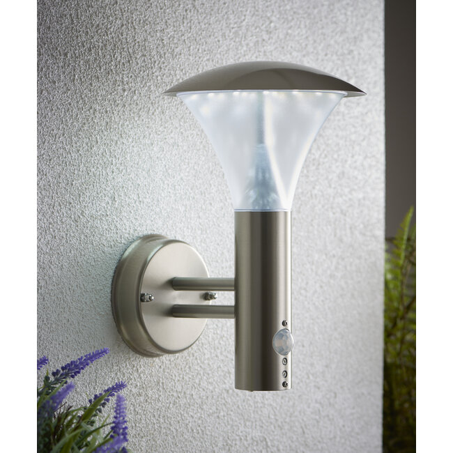 Francis PIR 1lt wall - Factory Second