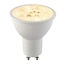 GU10 CCT 7W, 600LM non-dim