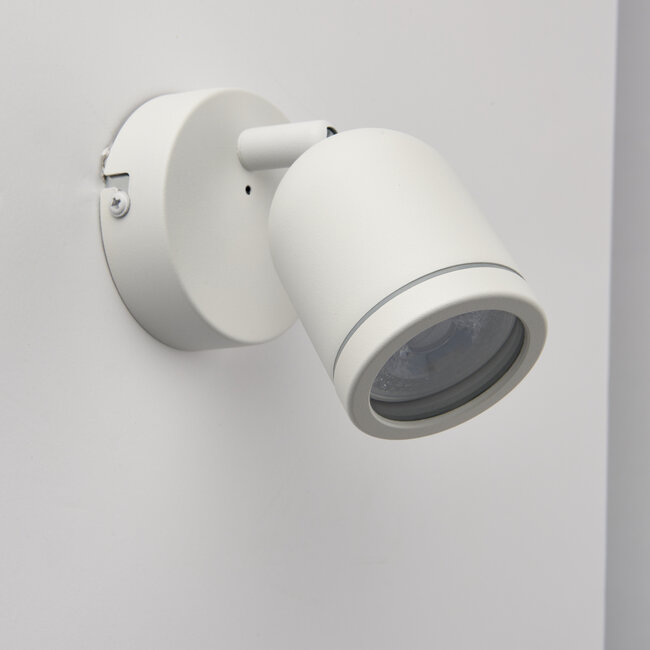 Vecta 1lt Spot Matt White