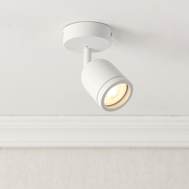 Vecta 1lt Spot Matt White