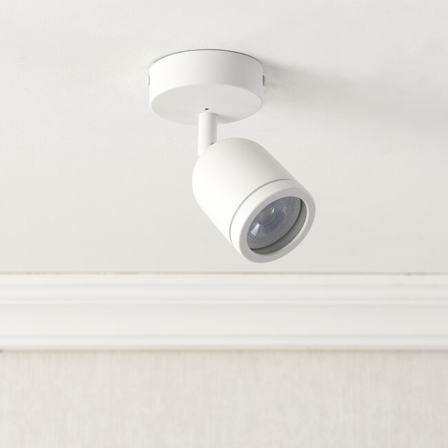 Vecta 1lt Spot Matt White