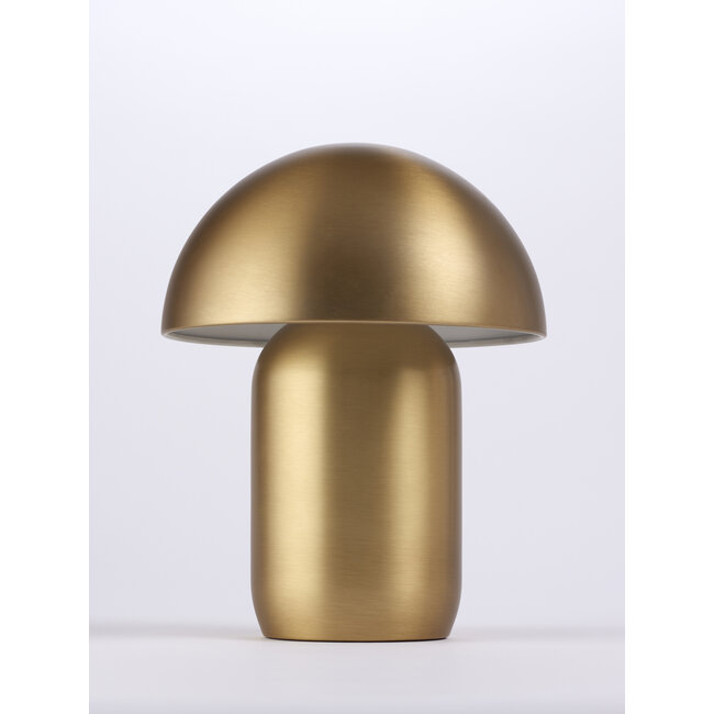 Fungi, Brass