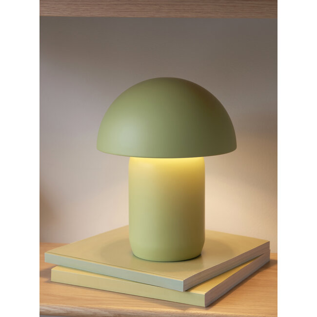 Fungi  USB-C Pistachio