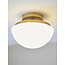 Doma Flush, Brass