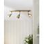 Raldwin 3 Bar Spot, Brass