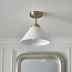 Cicyla bathroom flush light
