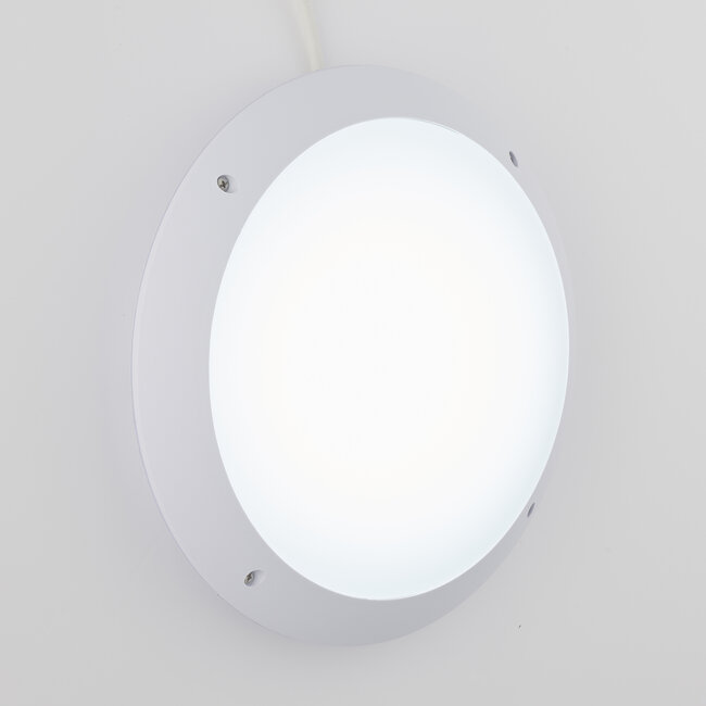 Seran IP65 Daylight White