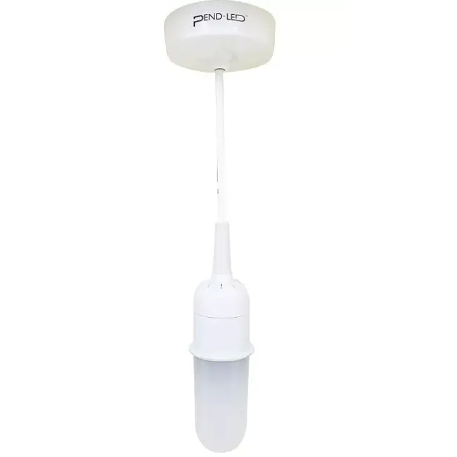 Poole Lighting Pend-LED 6 inch Integrated LED Pendant White 740LM 4000K