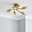 Corvus 5lt Semi Flush Gold
